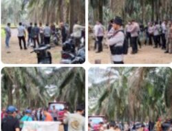 Ratusan Massa Menginap di Kebun Sawit PTPN 7 Bekri Lampung Tengah